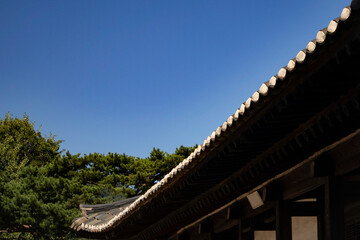 The lines of the Hanok roof tiles are beautiful.한옥기와의 선이 아름답습니다.