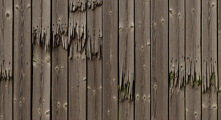 Weathered wooden fence with damaged planks showing splintered wood and occasional green moss