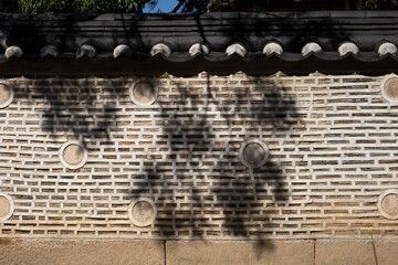 A tree shadow was cast on the wall of the Hanok.한옥의 담장에 나무그림자가 드리웠습니다.