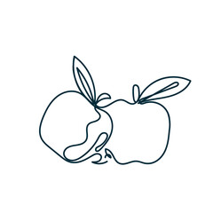 continuous line drawing apple fruit illustration vector