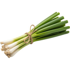 Fresh bundle of green onions with vibrant green stalks and white bulbs tied with twine