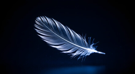 Elegant feather floating in the darkness capturing delicate details and ethereal beauty.