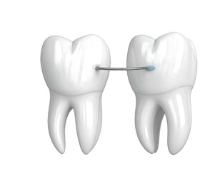 Two white, detailed teeth joined by a thin silver wire, used for dental bracing, over a transparent background