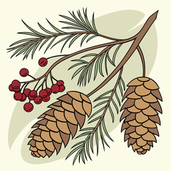 Elegant pine branch with cones and berries