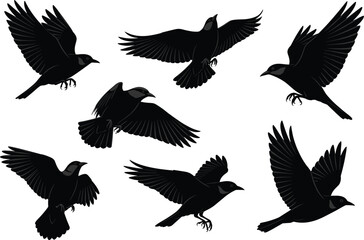 Black flying crow bird silhouette set, isolated vector illustration of ravens in flight, wildlife animal graphic design for Halloween decoration and logo