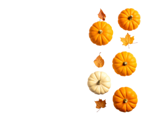 Vertical row of mini pumpkins and fall leaves on black