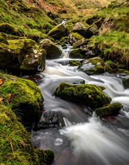 Flowing water cascades down rocks in a vibrant mossy stream