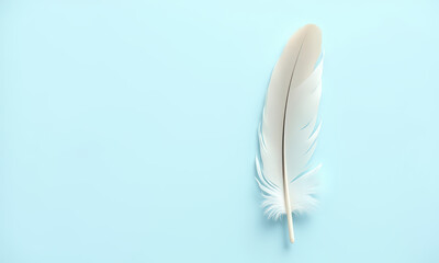 White feather on light blue background
