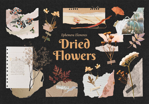 Dried Flower Design Element Set