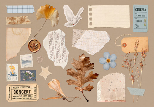 Vintage Collage With Dried Leaves Design Set