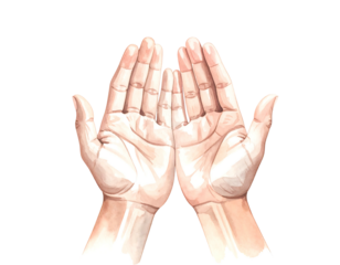 Two opened, pale hands in upward facing watercolor style, contrasted against solid black background