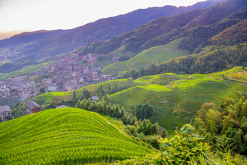 Yaoshan Mountain, Guilin, China hillside rice terraces landscape, sunset light