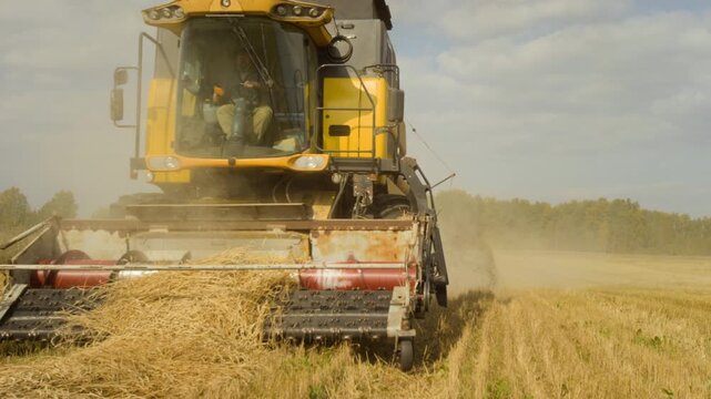 Front view shot of industrial combine harvester collecting crops while moving past camera in wheat field,scene lit by sunlight, copy space