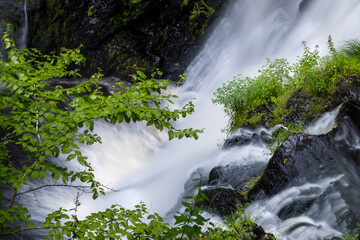 Rapids at scenic Ricketts Glen state park in Poconos, Pennsylvania in summer time.