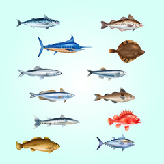 Realistic Detailed Assorted Fish Species Variety Aquatic Animal Illustration