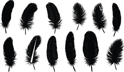 Black feather silhouettes collection, isolated bird plumage shapes, decorative quill set, natural wing elements, vector illustration for design and art © Hello World