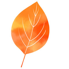 Simple autumn leaves watercolor illustration
