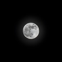 Fototapeta premium Full moon with visible craters and maria against dark night sky in detailed astronomical photography