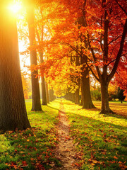 Golden Symphony of the Seasons: A Breathtaking Autumn Landscape in a Vast Park