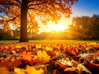 Golden Symphony of the Seasons: A Breathtaking Autumn Landscape in a Vast Park