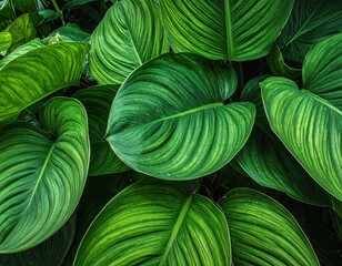 Lush Green Tropical Leaves Background Texture