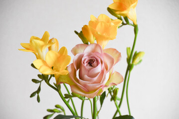 Fototapeta premium 薔薇とフリージア