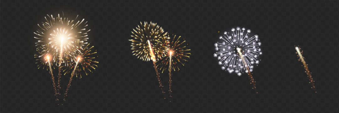 Vector Brightly Colorful Fireworks on the background of the night sky.