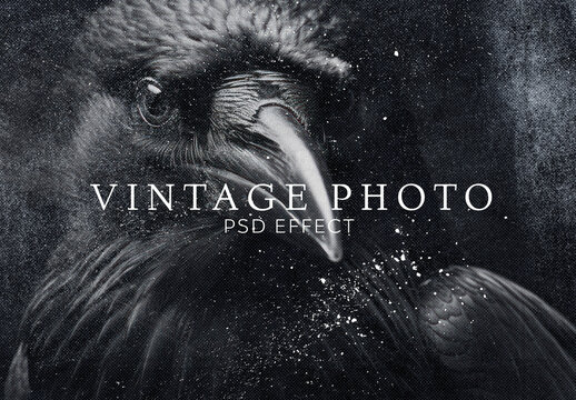 Vintage PSD Editable Photo Effect