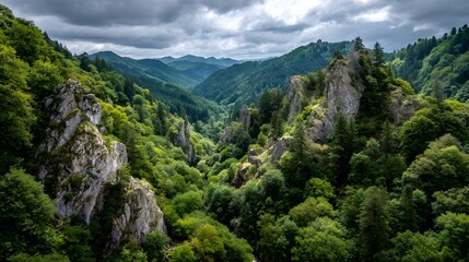 Obraz premium Steep forested mountain valley displays dramatic rocky outcrops beneath an overcast sky