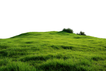 Rolling green grass hill with bushes against black background landscape, Png, Isolated on Transparent Background, Cut Out