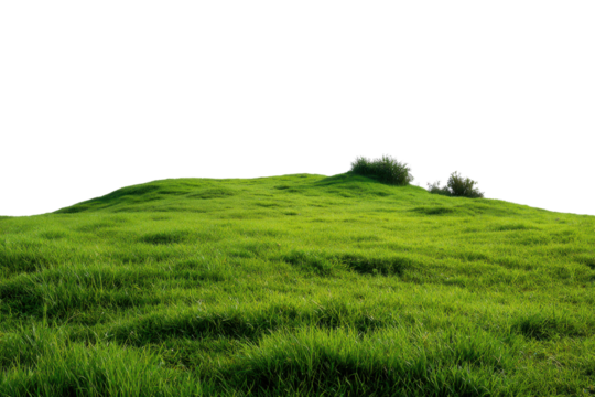Rolling green grass hill with bushes against black background landscape, Png, Isolated on Transparent Background, Cut Out