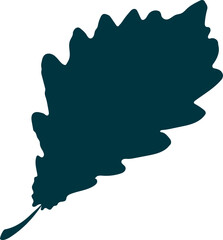 Hand-drawn oak leaf silhouette isolated on white background. Flat style vector illustration. 