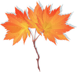 Red-orange-yellow autumn maple leaves isolated on white background. Flat and line style fall vector illustration. 