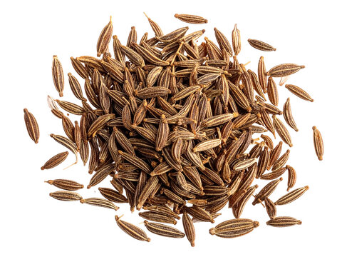Dried whole cumin seeds isolated closeup texture aromatic spice Indian Middle Eastern cooking ingredient.