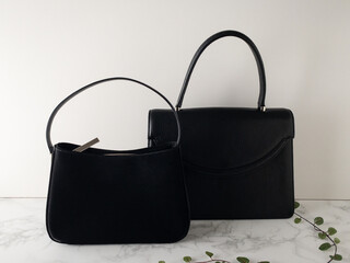 フォーマルバッグとワイヤープランツ白背景