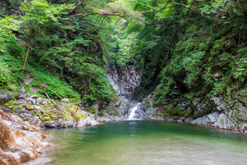 尾白川渓谷　千ヶ淵
