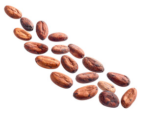 Obraz premium Single Stream of Cocoa Beans Pouring Down, Front View, Isolated on Transparent Background