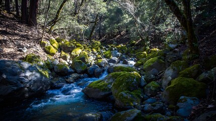 confluence. Two forest streams merging into a single river, blending water currents, mossy rocks, dappled sunlight through trees. ESG reports.