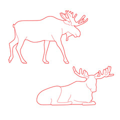 Deer Moose Deer Moose Deer Moose Deer Moose