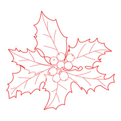 holly leaves and berries.eps
Actions holly leaves and berries.eps
Actions