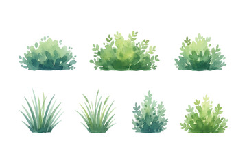 watercolor grass and bush illustration bundle element © James