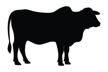 Brahman bull silhouette vector illustration, Brahman cow black silhouette 