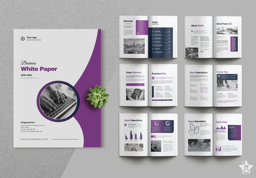 Business White Paper Layout.zip