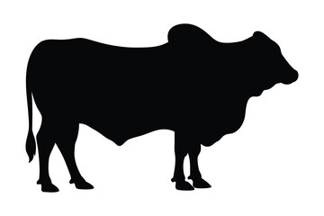Brahman bull silhouette vector illustration, Brahman cow black silhouette 