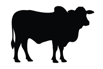 Brahman bull silhouette vector illustration, Brahman cow black silhouette 