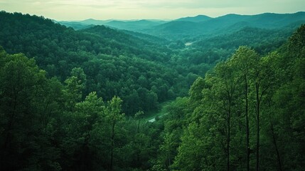 Obraz premium Lush green valley nestled between Appalachian mountains at twilight
