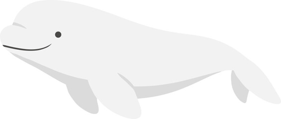 Obraz premium Simple Flat White Beluga Whale Illustration Aquatic Animal Graphic