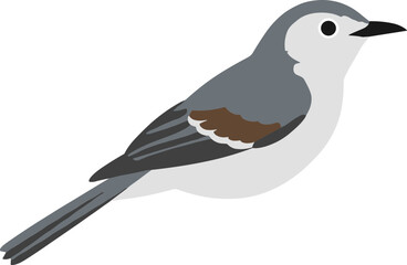 Fototapeta premium Flat Graphic Style White Breasted Nuthatch Wild Animal Illustration