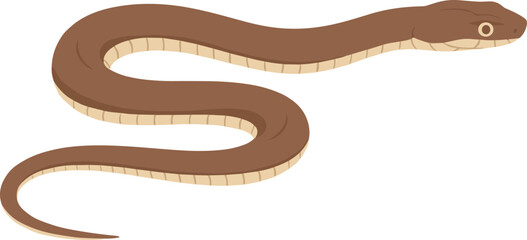 Fototapeta premium Simple Flat Illustration Brown Snake Curled Body Reptile Animal Mascot