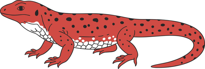 Cartoon Style Spotted Red Eft Salamander with Black Spots Illustration